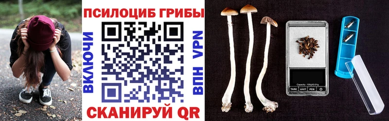 что такое наркотик  Алушта  Галлюциногенные грибы мицелий 