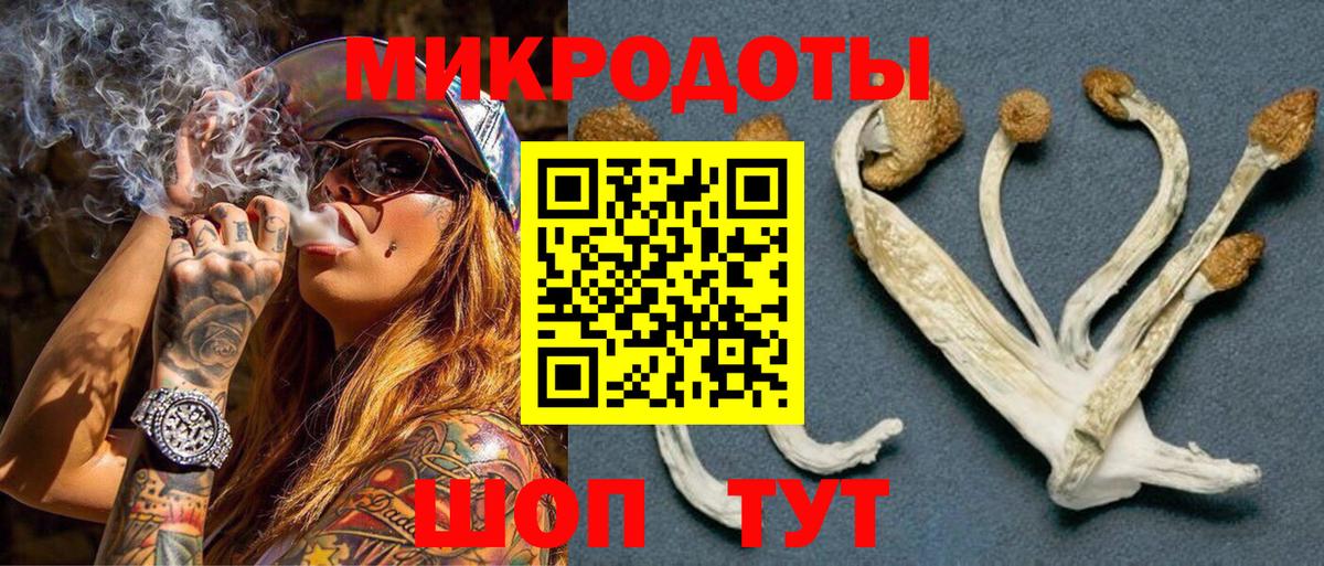 Псилоцибиновые грибы GOLDEN TEACHER  хочу наркоту  Алушта  Вход с VPN 